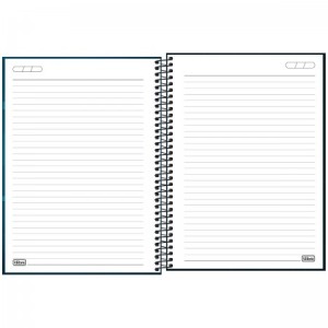CADERNO UNIVERSITARIO 1 MATERIA 80FLS THOR TILIBRA