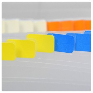 Pasta Sanfonada Plastica A4 31 Divisorias Ccristal 250X325x55mm Ref.1045.CR ACP