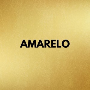 PAPEL LAMINADO 48X60 UNIDADE