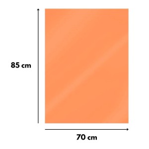 Papel Celofane 70X85cm Cores
