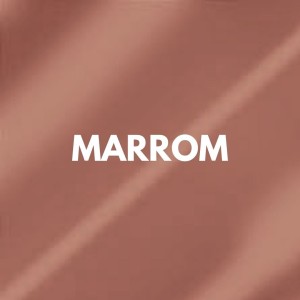 Papel Celofane 70X85cm Cores