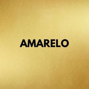 CARTOLINA LAMINADA 48X60 UNIDADE