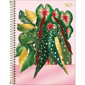 CADERNO UNIVERSITARIO 1 MATERIA 80 FLS NATURALIS TILIBRA