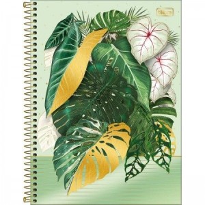 CADERNO UNIVERSITARIO 10 MATERIA 160 FLS NATURALIS TILIBRA