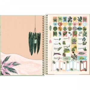 CADERNO UNIVERSITARIO 10 MATERIA 160 FLS NATURALIS TILIBRA