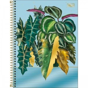 CADERNO UNIVERSITARIO 10 MATERIA 160 FLS NATURALIS TILIBRA
