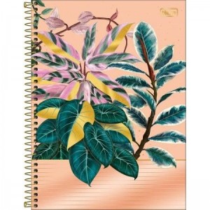 CADERNO UNIVERSITARIO 10 MATERIA 160 FLS NATURALIS TILIBRA