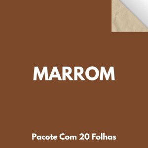 Papel Cartao 48X66cm Pacote Com 20 Folhas