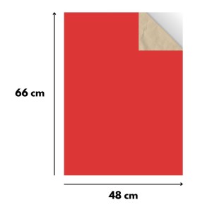 Papel Cartao Folha 48X66cm - Unidade